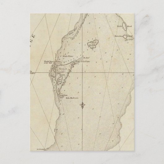 タークス諸島 ポストカード (正面)