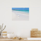 タークス・カイコス諸島 ポスター (キッチン)