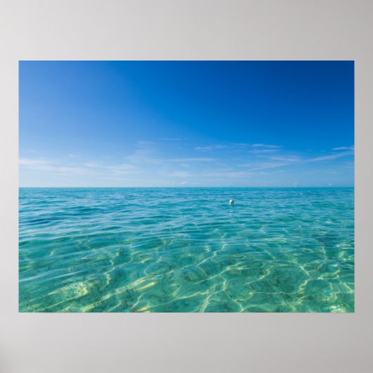 タークス・カイコス諸島 ポスター (正面)