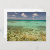 タークス・カイコス、グランドターク島、コックバーン2 ポストカード (正面/裏面)