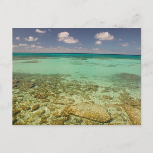 タークス・カイコス、グランドターク島、コックバーン2 ポストカード (正面)