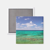 タークス・カイコス、グランドターク島、コックバーン3 マグネット (正面/裏面)