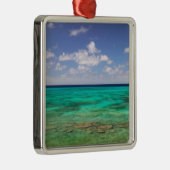 タークス・カイコス、グランドターク島、コックバーン3 メタルオーナメント (右)