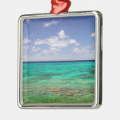 タークス・カイコス、グランドターク島、コックバーン3 メタルオーナメント (左)