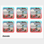 タークス・カイコス スクエアシール (シート)