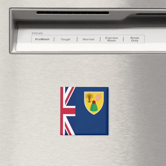 タークス・カイコス マグネット (インサイチュ (食洗機))