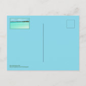 タークス&カイコス/混雑したビーチの日(なし) ポストカード (裏面)