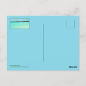 タークス&カイコス/混雑したビーチの日（なし） ポストカード (裏面)