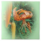 タークズキャップリリー野花 タイル (正面)