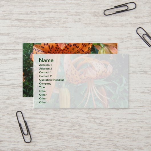 タークズキャップリリー野花 名刺 (正面/裏面インサイチュ)