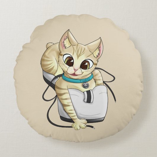 タークラウンドピロー ラウンドクッション (正面)