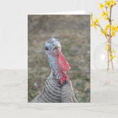 ターク・ザ・ターキー・ヘン カード (黄色い花)