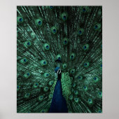 ターコイズとグリーンピーコックウォールアートポスター ポスター (正面)