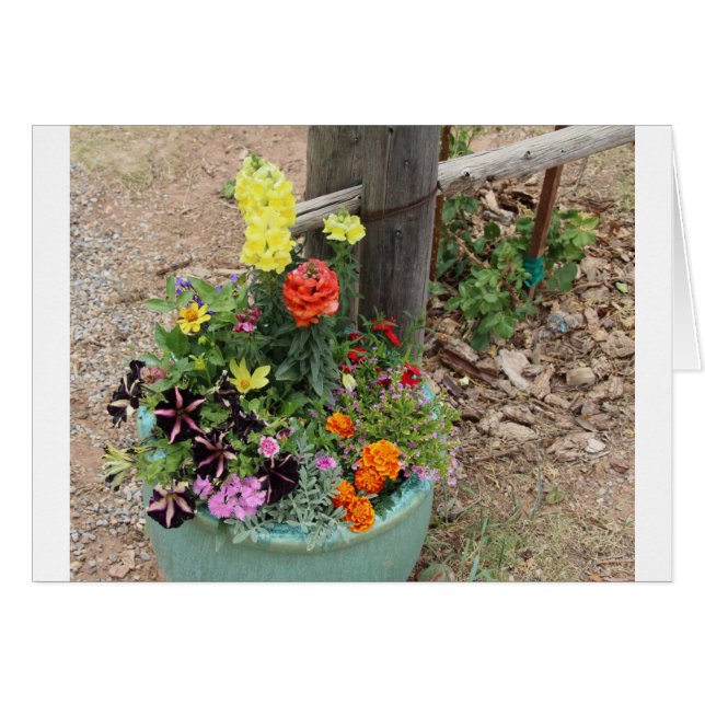 ターコイズのポットの夏の花 (正面横)