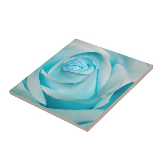 ターコイズの氷は上がりました タイル (側面)