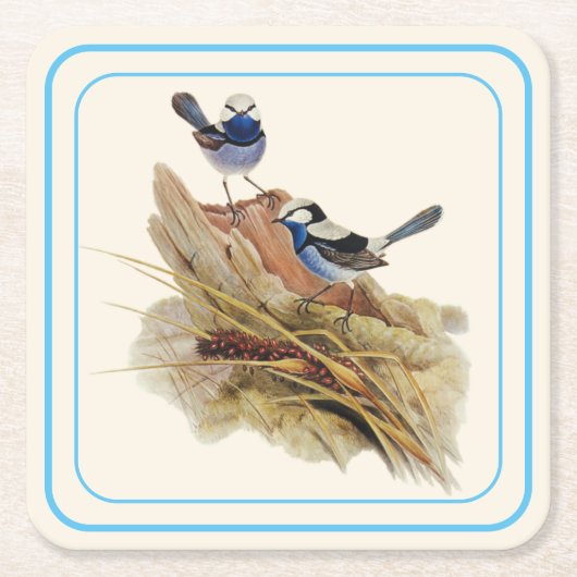 ターコイズの見事なウォーブラー スクエアペーパーコースター (正面)