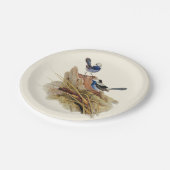 ターコイズの見事なウォーブラー ペーパープレート (アングル)