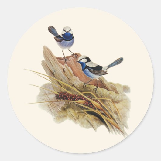 ターコイズの見事なウォーブラー ラウンドシール (正面)