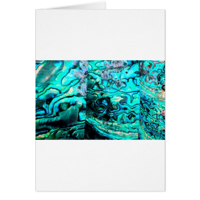 ターコイズアワロパウアシェル詳細 (正面)