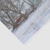 ターコイズウィンターバーン 薄葉紙 (詳細)