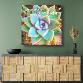 ターコイズグリーンサボテン写真開花植え付け キャンバスプリント