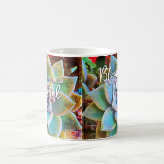 ターコイズグリーンサボテン開花が植えられている場所 コーヒーマグカップ (中央)