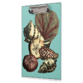 ターコイズシェルアンドレッドコーラルコレクション クリップボード (左)