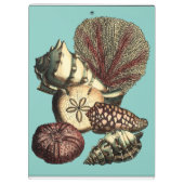 ターコイズシェルアンドレッドコーラルコレクション クリップボード (裏面)