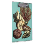 ターコイズシェルアンドレッドコーラルコレクション クリップボード (右)