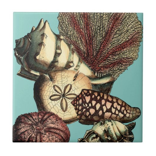 ターコイズシェルアンドレッドコーラルコレクション タイル (正面)