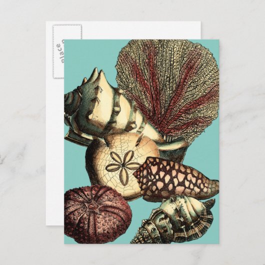 ターコイズシェルアンドレッドコーラルコレクション ポストカード (正面/裏面)