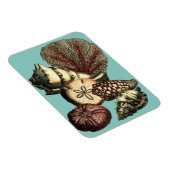 ターコイズシェルアンドレッドコーラルコレクション マグネット (右側)