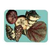 ターコイズシェルアンドレッドコーラルコレクション マグネット (横)