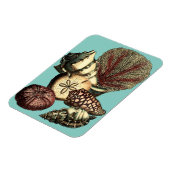 ターコイズシェルアンドレッドコーラルコレクション マグネット (左側)