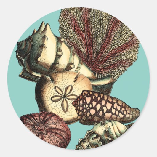 ターコイズシェルアンドレッドコーラルコレクション ラウンドシール (正面)