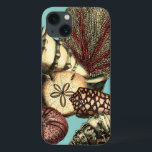 ターコイズシェルアンドレッドコーラルコレクション iPhone 13ケース<br><div class="desc">海に潜って、これらの海の生き物と一緒に海を違う探検しよう。このヴィンテージ作品は、ターコイズの背景と貝殻の赤いアクセントを持つ海のアネモン愛好家に鮮やか完璧な追加である。製品のアートプリントを今すぐ入手。</div>