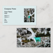 ターコイズバードハウスin冬 名刺 (正面/裏面)