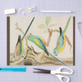 ターコイズパラケート 薄葉紙 (クラフト)