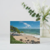 ターコイズビーチ ポストカード (スタンド正面)