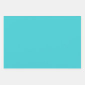 ターコイズブライトグリーンホットピンク最大 ラッピングペーパーシート (正面)