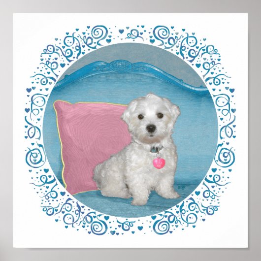 ターコイズブルーのマルチーズ ポスター (正面)