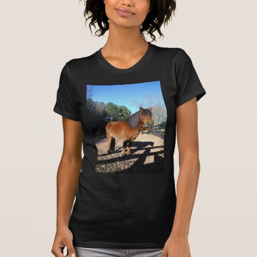 ターコイズブルーの空と茶色のポニー Tシャツ (正面)