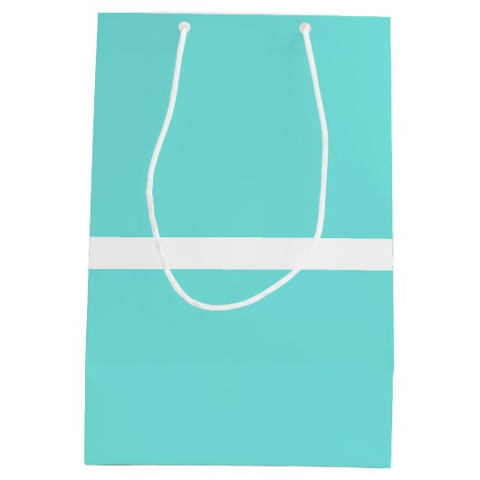 ターコイズブルーウィズボウシックグラモールグラム抱き枕 ミディアムペーパーバッグ (裏面)