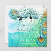 ターコイズブルーグリーンと銅ピーコックフェザー マグネット招待状 (正面)