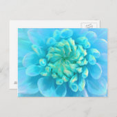 ターコイズブルーフラワーインウォーター ポストカード (正面/裏面)