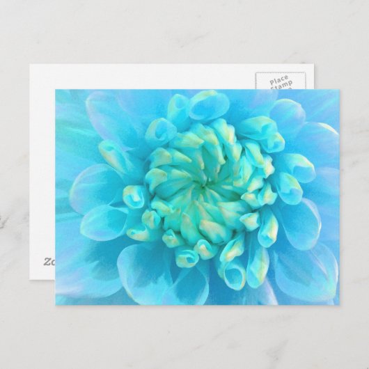 ターコイズブルーフラワーインウォーター ポストカード (正面/裏面)