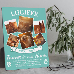 ターコイズペットメモリアルキープセイク フォトプラーク