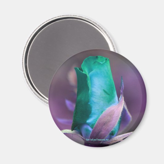 ターコイズローズブドフラワー撮影用磁石 マグネット (正面/裏面)