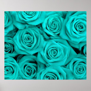 ターコイズ壮観なバラ ポスター