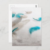 ターコイズ毛羽 ポストカード (正面/裏面)